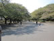 上野恩賜公園は駅近でも広大な面積、動物園や美術館も