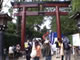 根津神社の祭り